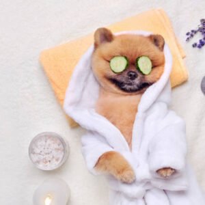Pup Deluxe Spa Package