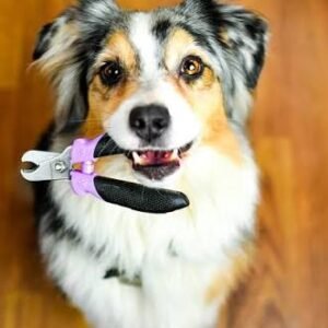 Nail Trim