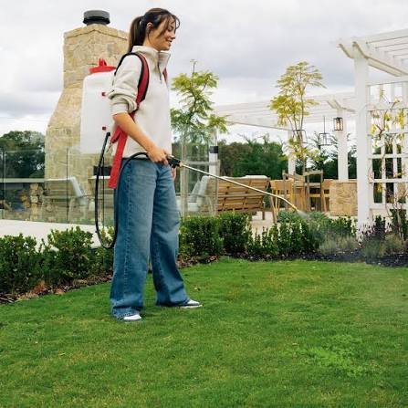 Lawn Waste Removal Services - Image 3