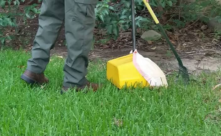 Lawn Waste Removal Services - Image 4